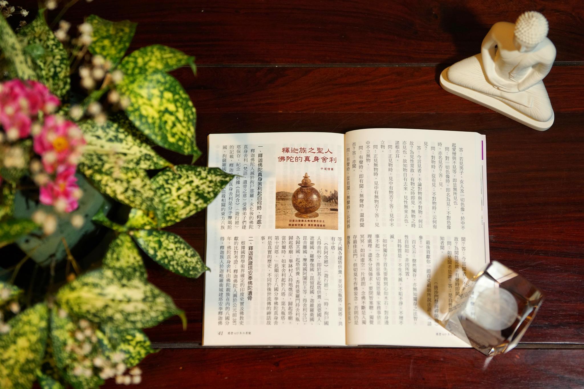 fosheli-meitibaodao-3.jpg