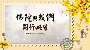 迎奉 釋迦佛陀真身舍利 入臺永住（臺灣篇）～歡迎您共襄盛舉！
