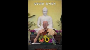【接受現實，努力現在】【南山寺十日禪大堂開示】