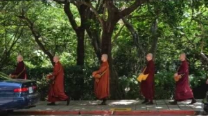 【走過人群、引攝人心】【佛陀弟子僧  中道僧團  隨佛】