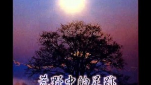 荒野中的足跡 第二集