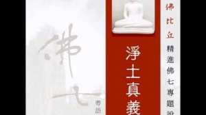 淨土真義 第七集 (粵語翻譯)