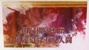 佛陀真身舍利入臺周年——回歸佛陀本懷 佛陀遺骨重現人間